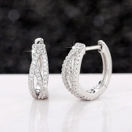 High-Carbon Diamond Double Hoop Earrings, Lab Diamond Split Hoop Earrings, 925 Sterling Silver Hypoallergenic Earrings For Women Gifts For Her