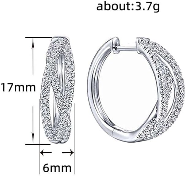 High-Carbon Diamond Double Hoop Earrings, Lab Diamond Split Hoop Earrings, 925 Sterling Silver Hypoallergenic Earrings For Women Gifts For Her