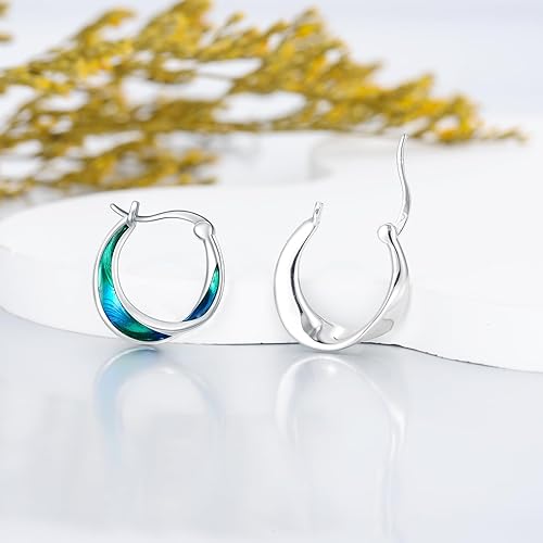 Mobius 925 Sterling Silver Hoop Earrings for Women, Gradient Color Jewelry for Girls, Safe Hypoallergenic Hoop Earrings Gift for Wife, Best Friend, Birthday