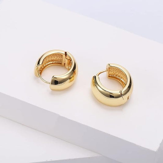 FAMARINE Small Chunky Thick Hoop Earrings for Women Girls Gold Hoops Huggie Earrings for Men Gift, 14K Gold Plated