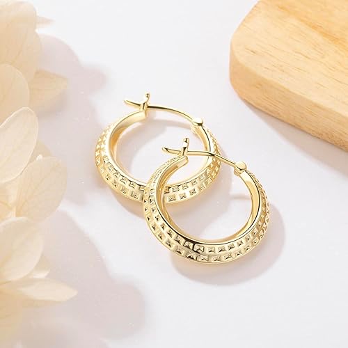 14K Gold Earrings for Women Chunky Hoop Earrings 14K Gold, Lightweight & Small Hoop Earirng for Women with Hinged Clasp 20MM