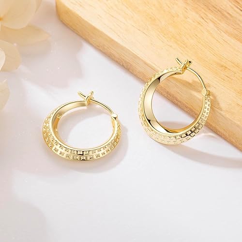 14K Gold Earrings for Women Chunky Hoop Earrings 14K Gold, Lightweight & Small Hoop Earirng for Women with Hinged Clasp 20MM