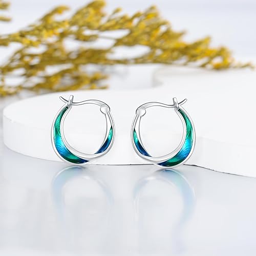 Mobius 925 Sterling Silver Hoop Earrings for Women, Gradient Color Jewelry for Girls, Safe Hypoallergenic Hoop Earrings Gift for Wife, Best Friend, Birthday