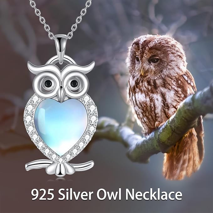 WINNICACA Owl Necklace Sterling Silver Owl Jewelry Blue Stone Abalone Shell Moonstone Owl Pendant Owl Gifts for Women Girls Birthday Christmas