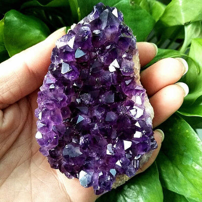 Natural Brazilian Amethyst Crystal Point Stone Cluster Quartz Druzy Geode Reiki