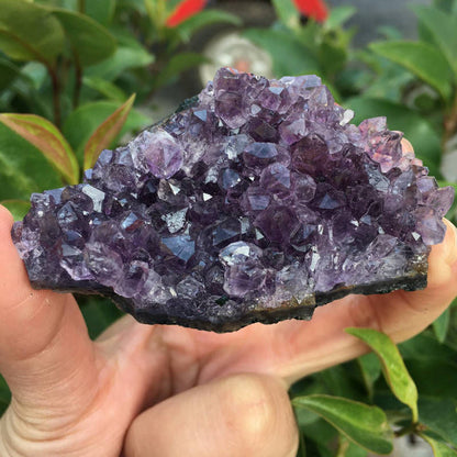 Natural Brazilian Amethyst Crystal Point Stone Cluster Quartz Druzy Geode Reiki